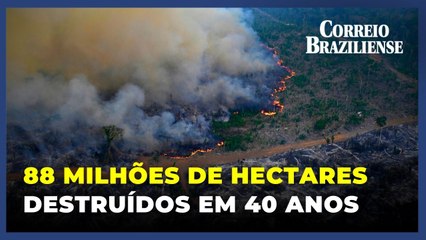 Amazônia: nos últimos 40 anos, desmatamento equivale à área do território da Colômbia