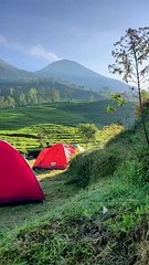 gunung cilik Wonosobo punya