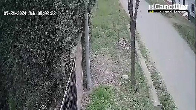 El impactante video en el que el hijo de Leo Mattioli atropelló y mató a una ciclista