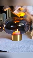 The most popular compilations from Cute Kittens