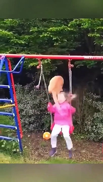 BEST FUNNY CATS AND DOGS - Try Not To Laugh Funny