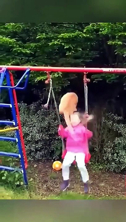 BEST FUNNY CATS AND DOGS - Try Not To Laugh Funny