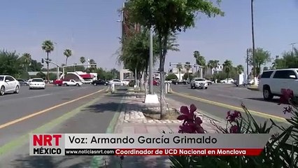 Solo el 10.4% de los vehículos   fueron legalmente regularizados