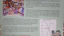 FunciónCuadráticaEnelMercado(Patricia Rocha)