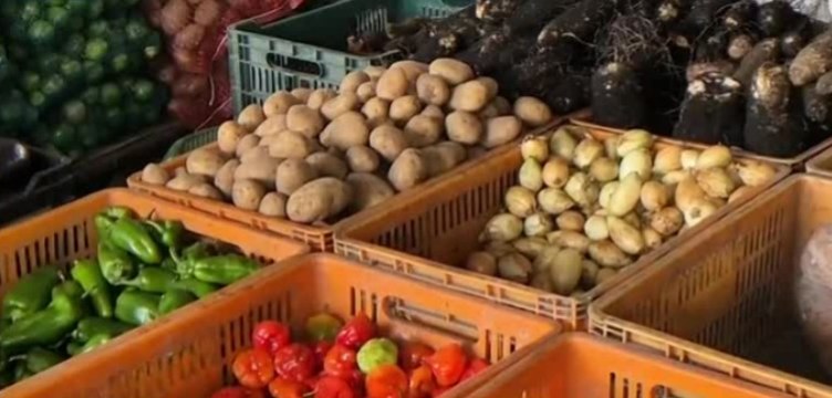 Productores preocupados por aumento de contrabando en Chiriquí