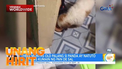 #HiritGoodVibes-- Aso, sabik na sabik sa pandesal?! | Unang Hirit