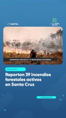Reportan 39 incendios forestales activos en Santa Cruz