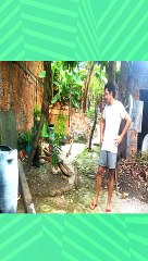 Pica Pau e pé de pano aprontam em minha casa do desenho animado para realidade