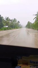 Palawan Rides