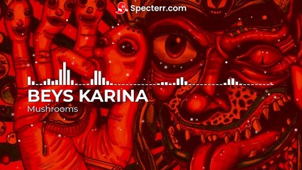 BEYS KARINA - Mushrooms (Official Audio)