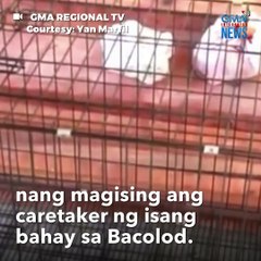 Fur parents, nanlumo sa sinapit ng kanilang golden retriever | GMA Integrated Newsfeed