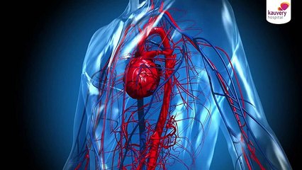 Understanding Heart Stents: Types and Uses for Better Heart Health 🫀