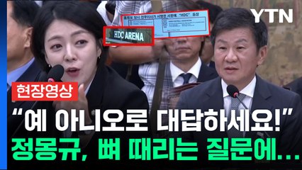'홍명보'보다  더 큰 문제 가져왔다...배현진 질문에 정몽규 '혼쭐' [현장영상] / YTN