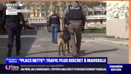 Trafic de drogues présent mais moins visible: bilan six mois après les opérations "place nette" à Marseille
