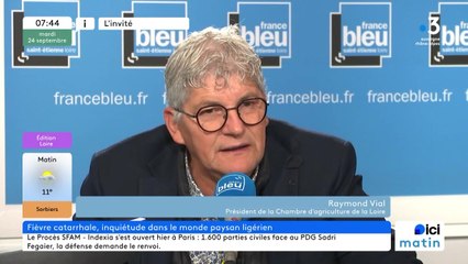 Fièvre catarrhale : Raymond Vial, président de la chambre d'agriculture de la Loire
