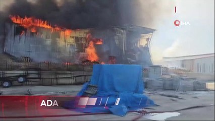 Adana'da balık yemi paketleme fabrikası alevlere teslim oldu