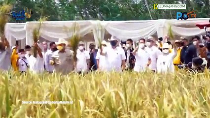 JPP Talk dengan Firnando H Ganiduto, Kawal Janji Anggota DPR RI Terpilih