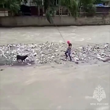 Un incroyable sauvetage un chien héroïque tiré des eaux tumultueuses d'une rivière en crue !
