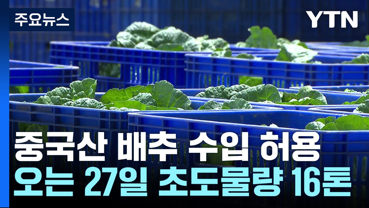 중국산 배추 수입 허용...27일 첫 물량 16톤 반입 / YTN