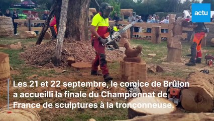 Championnat de France de sculptures à la tronçonneuse