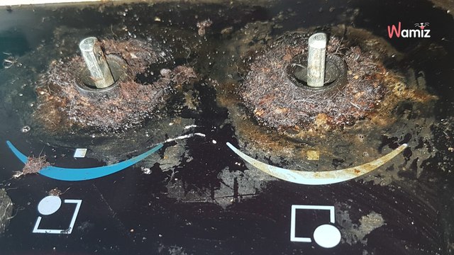 Occitanie : elle découvre l'appartement qu'elle loue saccagé, avec un chat abandonné à l'intérieur