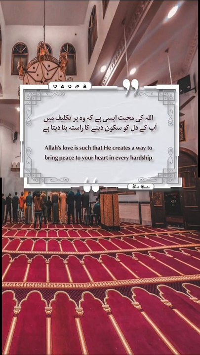 Inspirational Quotes