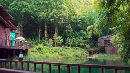 The Frog Season 01 (Epi 05)