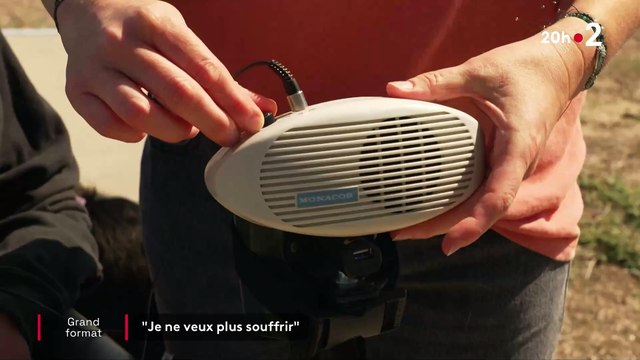 Fin de vie - Le témoignage émouvant de Loïc Resibois, atteint de la maladie de Charcot et militant pour le suicide assisté, sur France 2 : « Je suis las de cette existence. Je ne veux pas pousser ma vie au-delà du point de rupture » - VIDEO