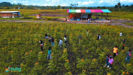 The Sandab Demo Farm: A Year and a Half Later