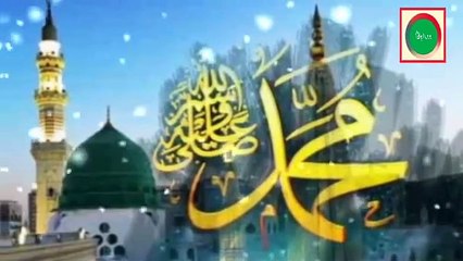 New Naat 2024 Huzoor Meri tu Sari Bahar Ap se Hai Naat Madina ki Yaad Nigah e Urdu Naat