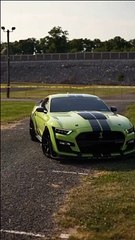 SHELBY Green Line Car...#viral #shorts #trendingcar #cars #videos