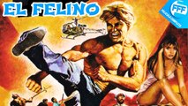 EL FELINO  Película Completa de Acción y Artes Marciales en Español