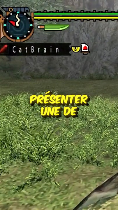 Monster Hunter : une de mes saga préférées !