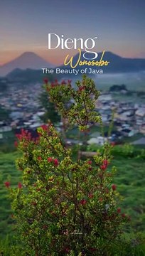 Dieng Wonosobo Jawa Tengah