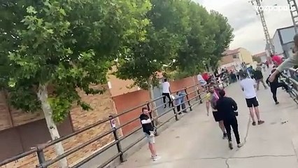 Un muerto y varios heridos en los encierros de Pantoja (Toledo)