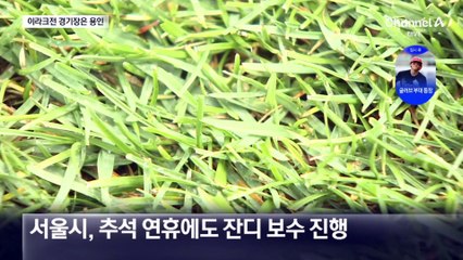 상암 경기장 ‘잔디’ 고민에…10월 이라크전 용인서 개최