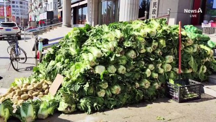 中 동북 3성에서 배추 수입…정부 “2차례 안전 검사”