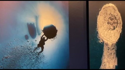 Massimo Sestini, il fotoreporter acrobata del nostro presente