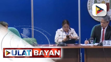 Panukalang pondo ng DMW para sa 2025, aprubado na sa Senate committee level;