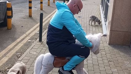 Man's wild ride on a toy pony gone wrong *He had NO CONTROL!*