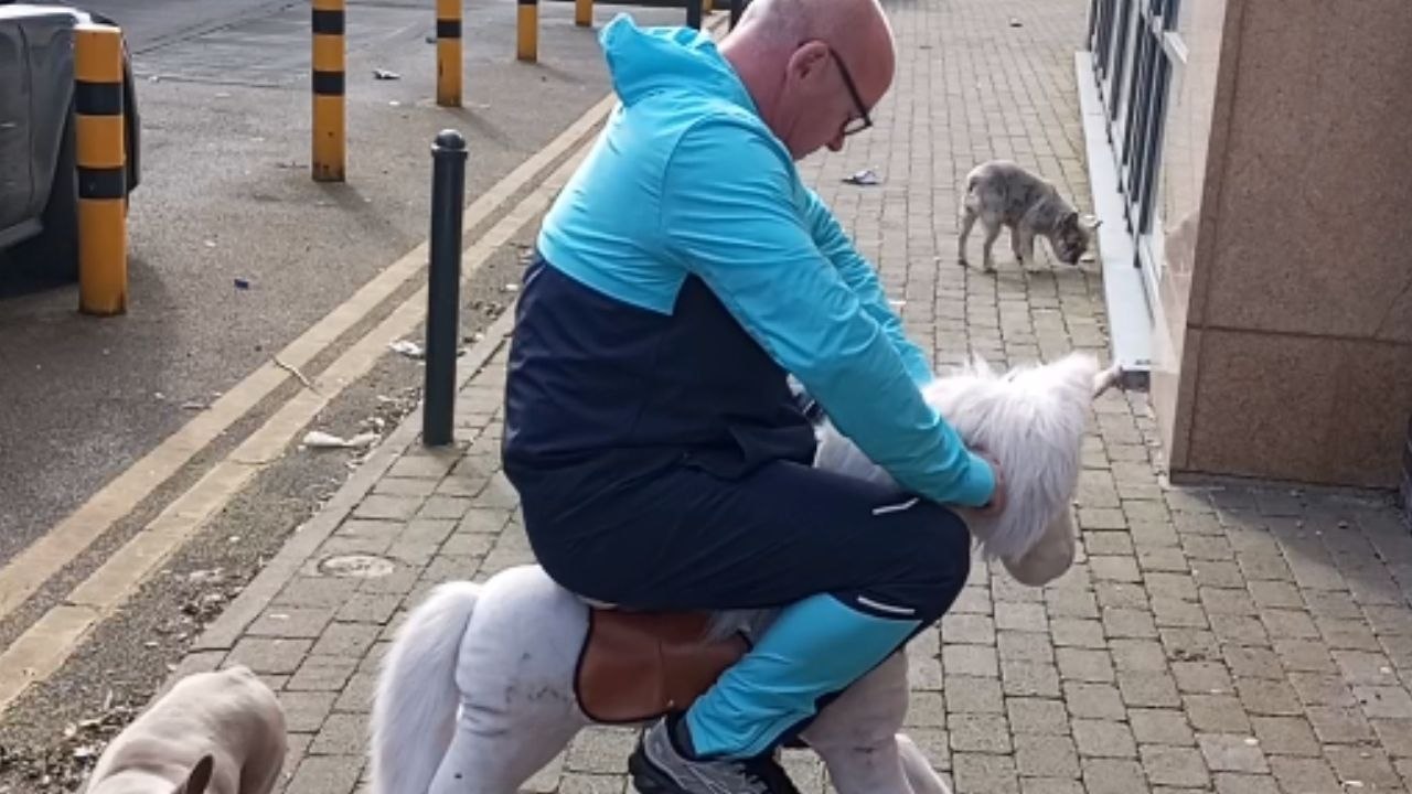Man's wild ride on a toy pony gone wrong *He had NO CONTROL!*