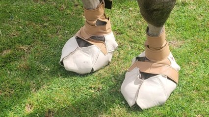 Cobbler hand-makes unique shoes for a camel struggling to walk