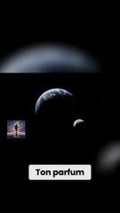 Le Beat Afrobeat qui Enflamme la Nuit  | Danse Sous Les Étoiles (feat. Nielzo)#shorts
