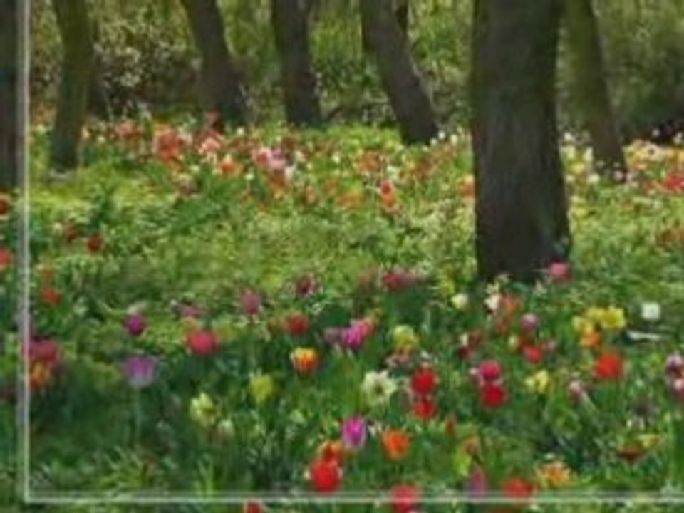 Wenn die Sonne erwacht