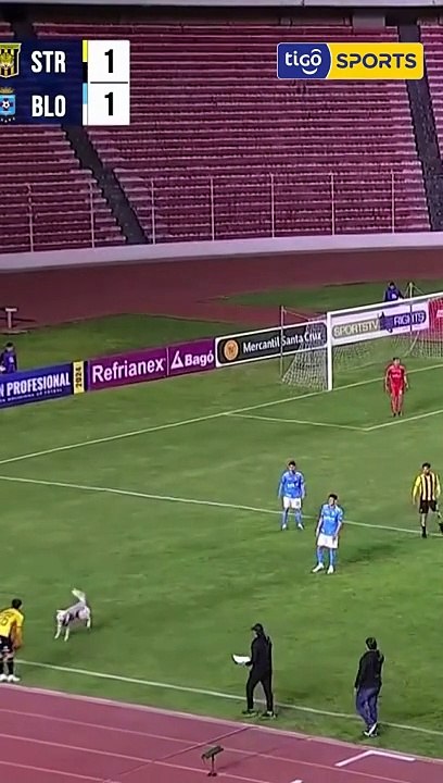 VIDEO: Un perrito roba el show en partido entre The Strongest y Blooming en el Siles
