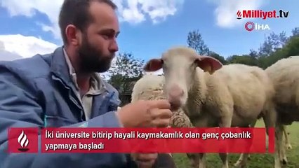 İki üniversite bitirip hayali kaymakamlık olan genç çobanlık yapmaya başladı