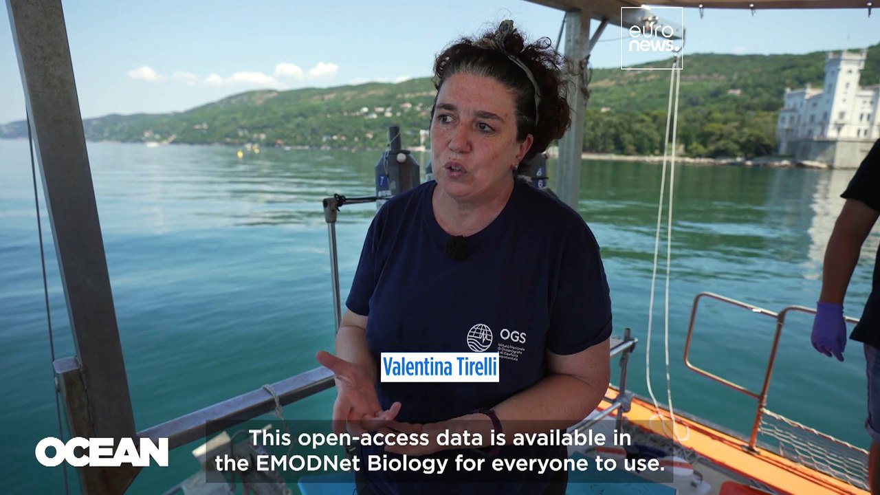 Digital Twin of the Ocean: Europe’s game-change...