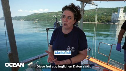 Der digitale Ozean-Zwilling: ein Instrument zur nachhaltigen Nutzung der Meere