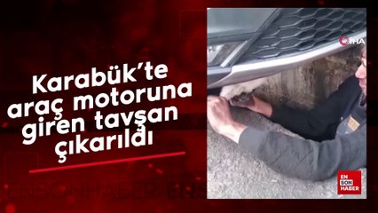 Karabük'te araç motoruna giren tavşan çıkarıldı