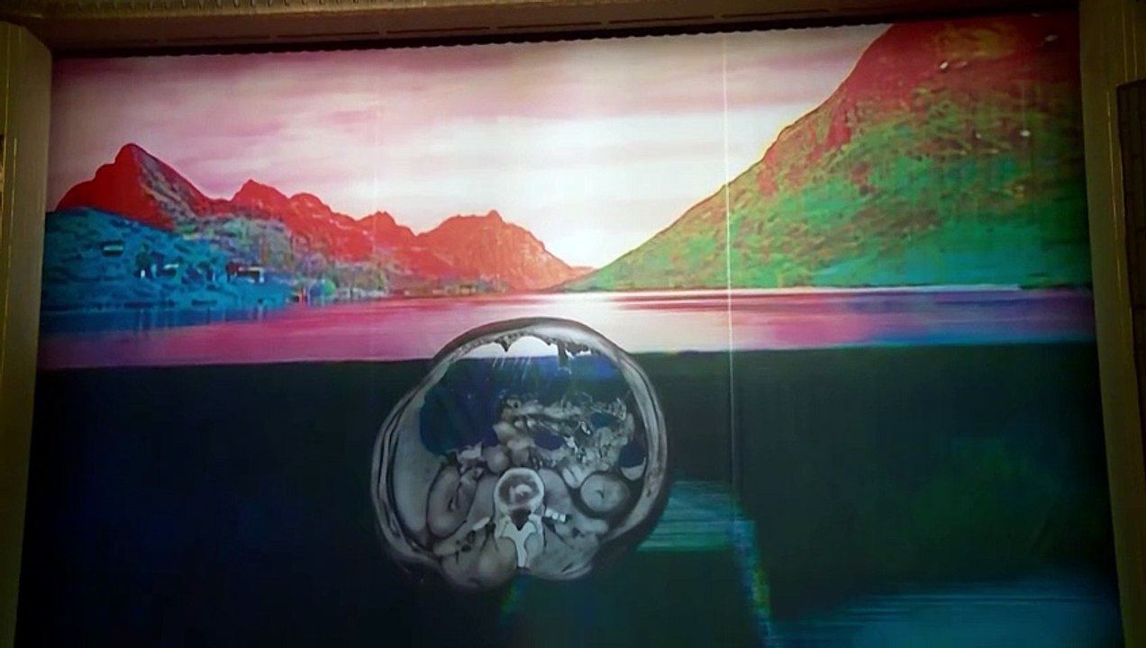 Pipilotti Rist gestaltete den Eisernen Vorhang der Staatsoper
